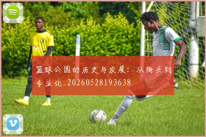篮球公园的历史与发展：从街头到专业化_20260528193638