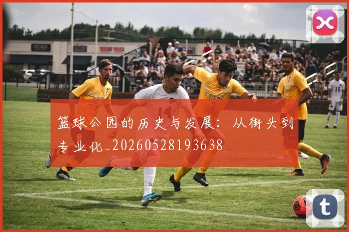 篮球公园的历史与发展：从街头到专业化_20260528193638
