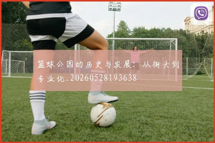 篮球公园的历史与发展：从街头到专业化_20260528193638