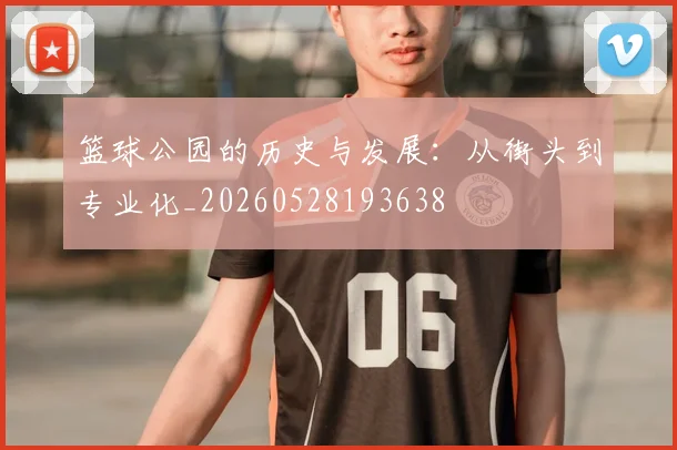 篮球公园的历史与发展：从街头到专业化_20260528193638