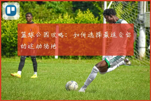 篮球公园攻略：如何选择最适合你的运动场地